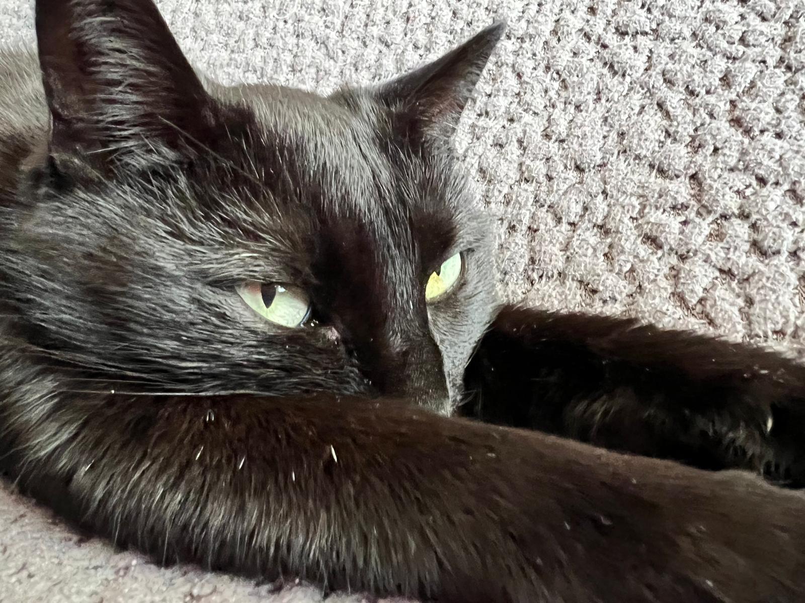 Imagine suplimentară